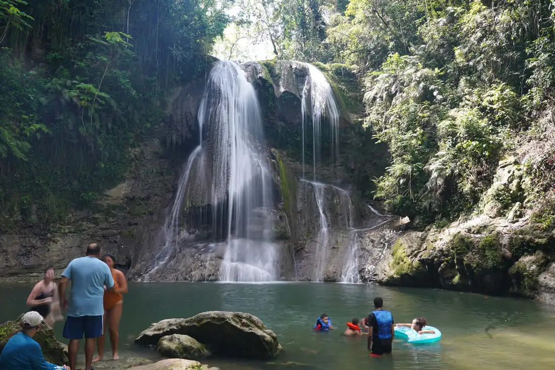 Shaded rainforest approach trail and lush tropical foliage near Gozalandia Waterfall parking area