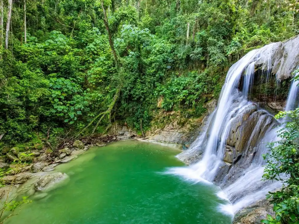 Abgelegene Südküste und tropisches Mangrovenwasser bei einer Wasserfall-Tagestour in Puerto Rico
